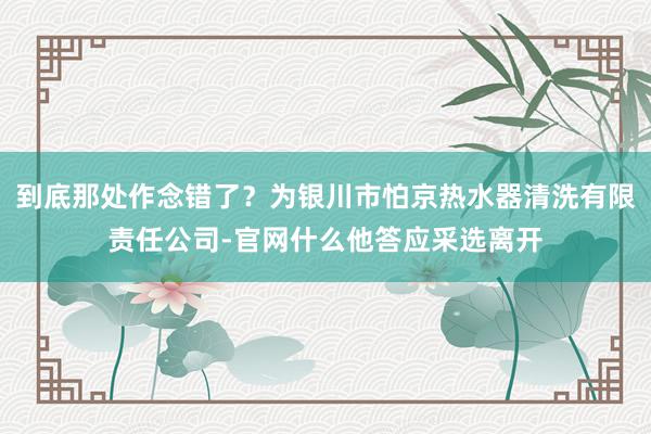 到底那处作念错了？为银川市怕京热水器清洗有限责任公司-官网什么他答应采选离开